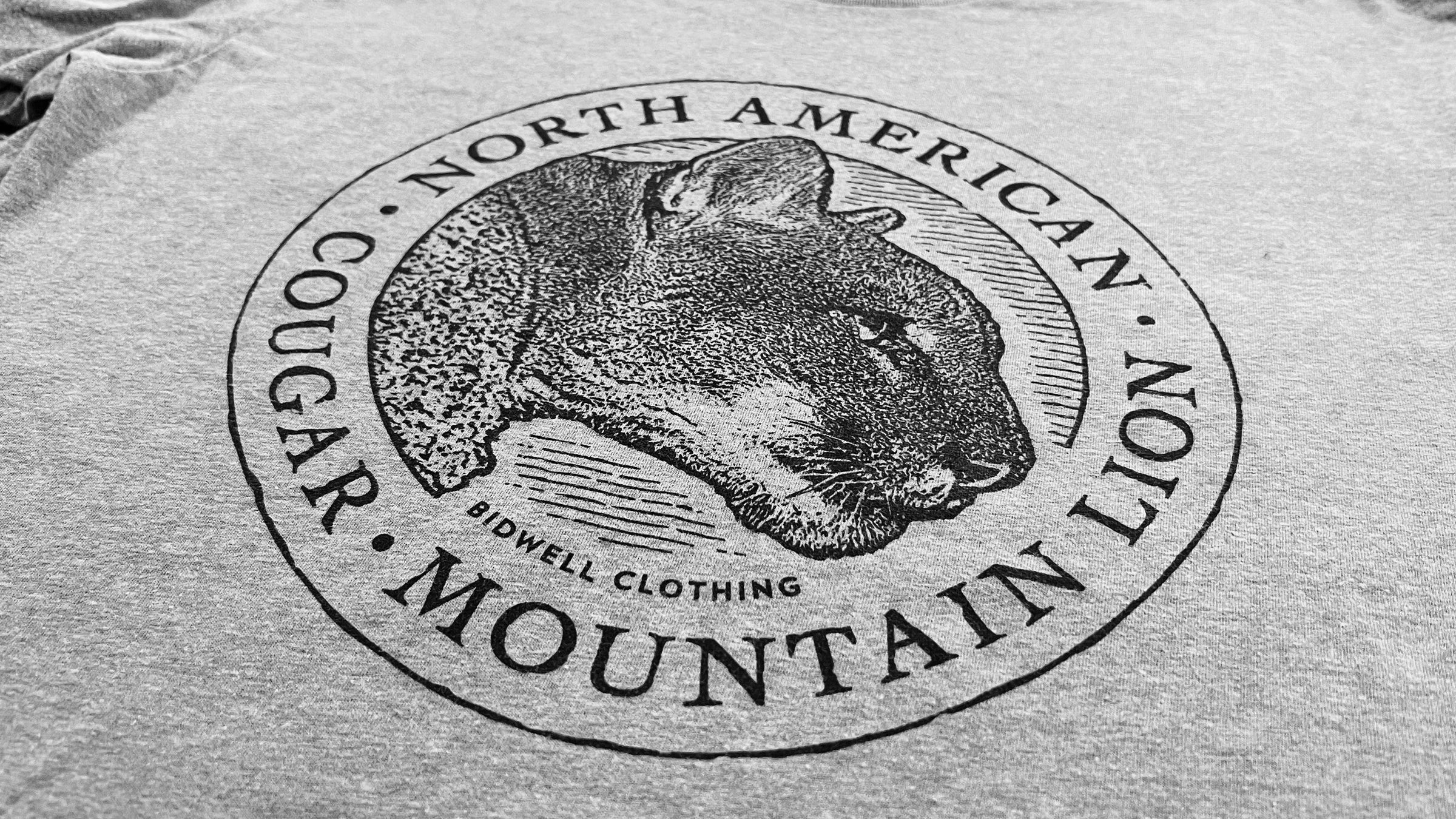 Mountain Lion